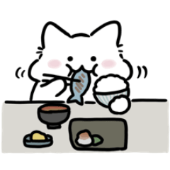 Shirakoneko (Daily Life)