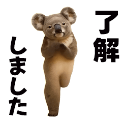 おどる！きもかわコアラ