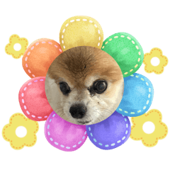 mikarin_20251016171118