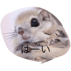 kasuporo_20251016172509