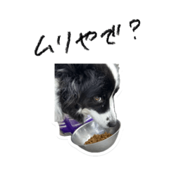 kokochan_20251016233332