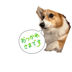 hachi_20251017013106