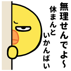 Grumpy Chick Speaks Fukuoka Dialect