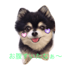 kota!!!!