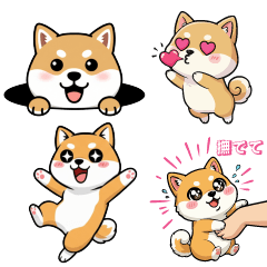 Shiba Gang : Shiba-inu Wanpaku-tai