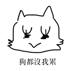 累累貓貓貓貓貓