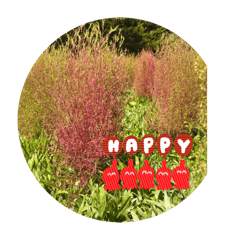 自然裡的我們。