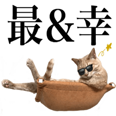 世界一　かわいい陸