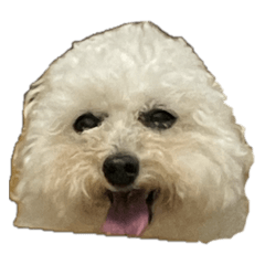 Kurumi_20251016235320