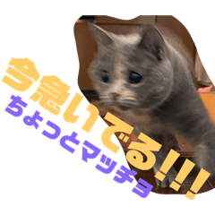 sakura_20251016183519