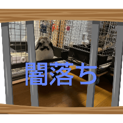 samansa_20251016195804