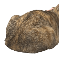 lemon_20251016212050