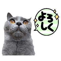 keisato_20251016201836gran