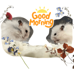 Paris_20251011000635