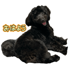 omochi_20251016195721