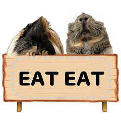 grandma'soreo speakkk