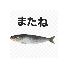 jgjpwdptg_20251016214824