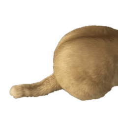 lemon_20251016214437