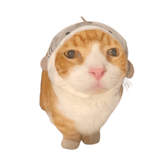 น้องกล้วยชอบฟิลเตอร์