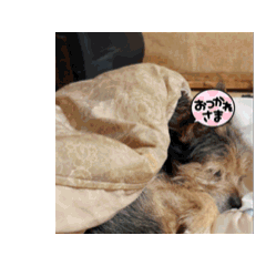 NAGISA_20251017124722