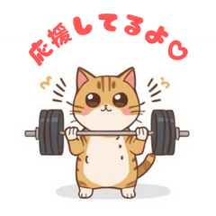 Cute Muscular Cat