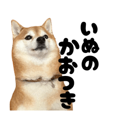 Arale_20251016173027