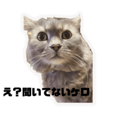 hikari_20251017123309