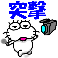 【2025突撃】しろアザラシの毎日