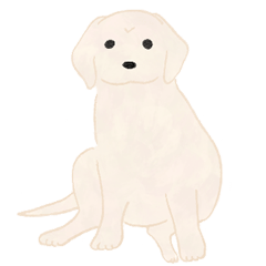 ラブラドールのこももちゃん
