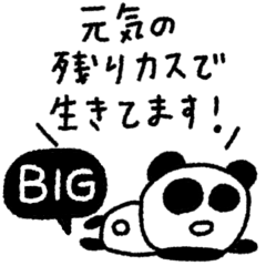 BIG My name is panda #4