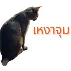 Mochi_20251016234742