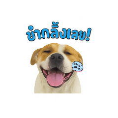 AomSp_20251017083009