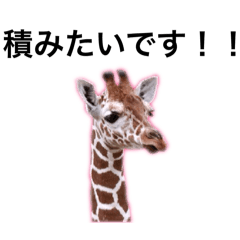 tsukada_20251017145348