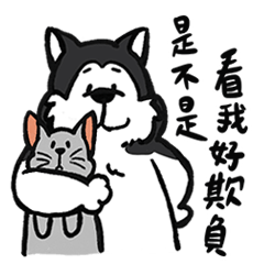 奇奇的內耗人生