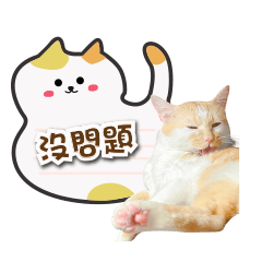 愛撒嬌橘子