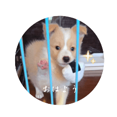 Ayumi_20251017150210