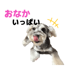 m_20251017161844
