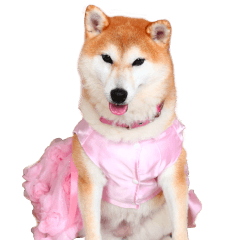 どらやきちゃんの可愛いスタンプです！