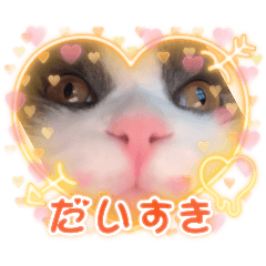 sakura_20251017175413