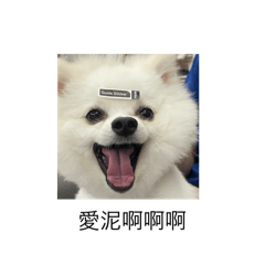 妹妹啦啦啦啊！