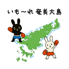 奄美キックボクシングジ厶  4