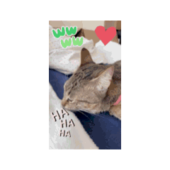 Suzu ran_20251018080206