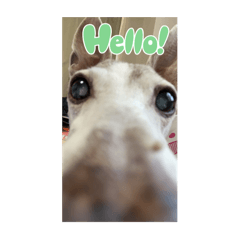 Claire_20251017185739