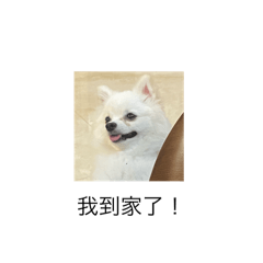 妹妹！！！！！！