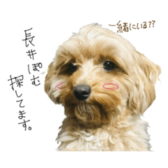 Amity_20251017202634