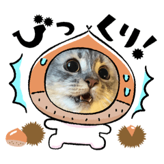 lemon_20251017193842