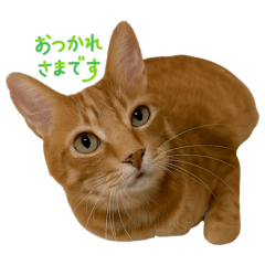 monica_20251017194210