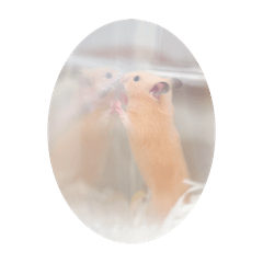 omochi_20251017215800