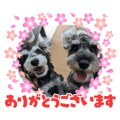 Shu&Kai's stamp part.1