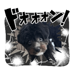 rabbimon_20251017205403